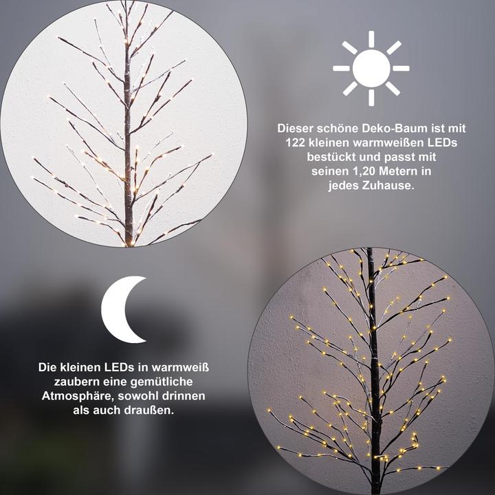 Image du produit Star Trading Tobby