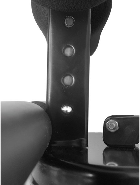 Actual product image Schildkröt Sit-Up Trainer