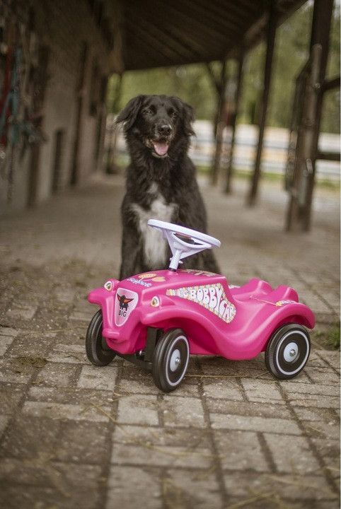 Immagine prodotto BIG Bobby Car