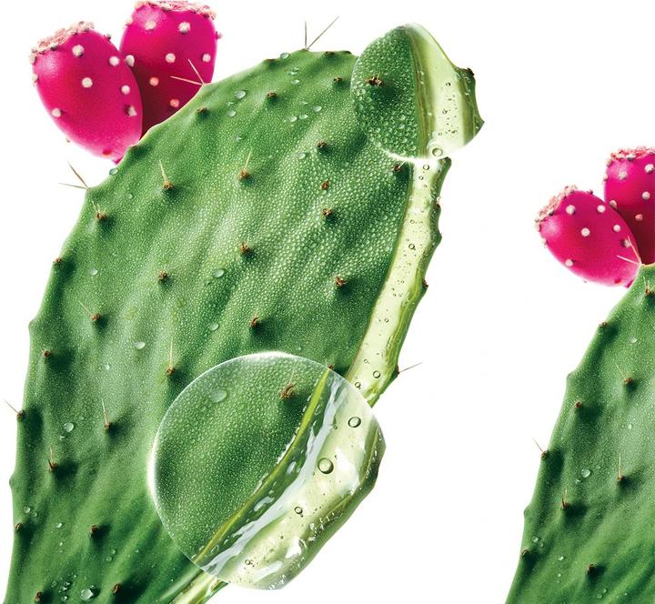 Produktbild Klorane Feigenkaktus (200 ml, Flüssiges Shampoo)