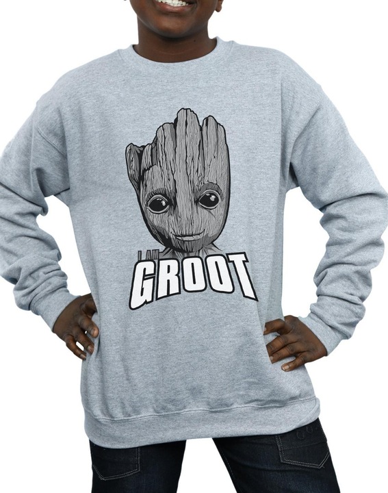 Image du produit - Sweat GUARDIANS OF THE GALAXY GROOT FACE - Garçon (140, 146)