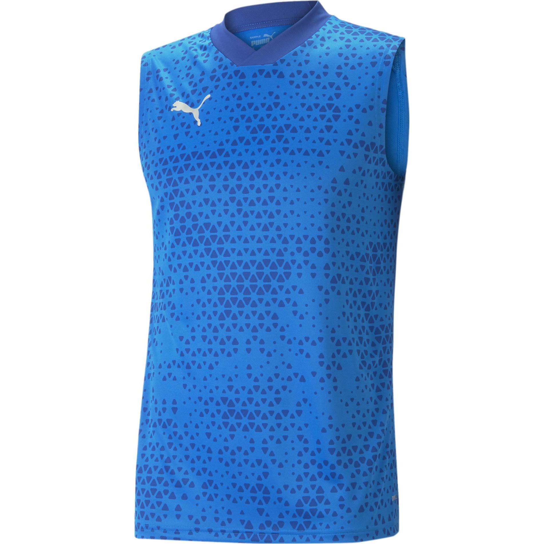 Puma, Herren, Sportshirt, teamCUP Training Jersey SL (L), Blau, L