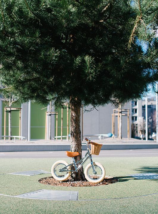 Actual product image Siech Cycles Kids Bike (12")