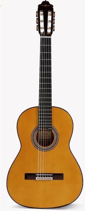 Immagine prodotto Esteve Gipsy Kings di André Reyes (Chitarra classica, Cipresso, Cedro, Ebano, Palissandro, Osso, Peccio)