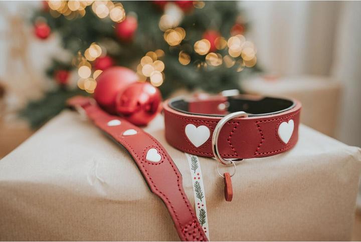 Immagine prodotto Hunter Collare Love per cani 42 (Cane, Passeggiare)