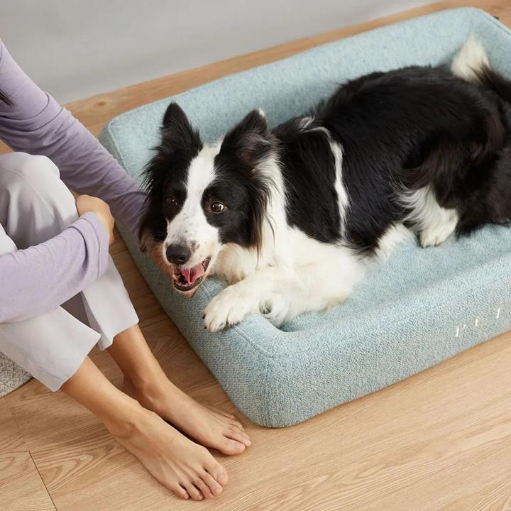 Produktbild Petkit Deep Sleep All Season Pet Bed L Žalias (Hund)