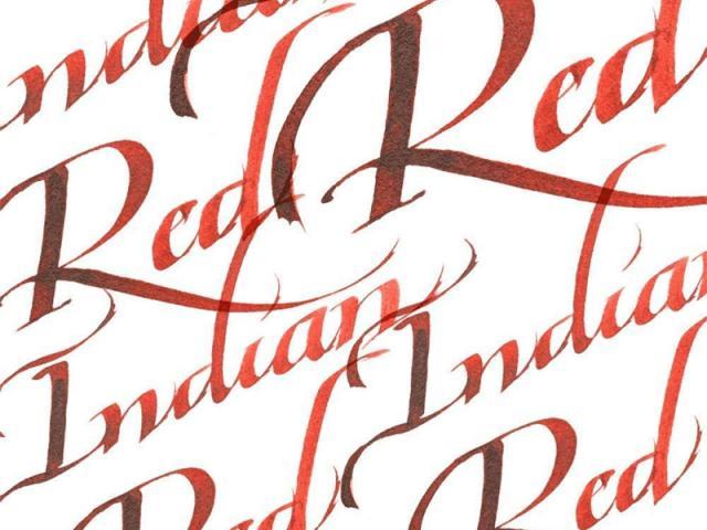Actual product image Winsor & Newton Ink Calligraphy Ink indian (Red, 1 pcs.)
