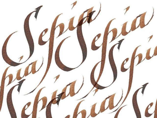 Immagine prodotto Winsor & Newton Inchiostro Calligrafia Inchiostro seppia (1 pz., Marrone)