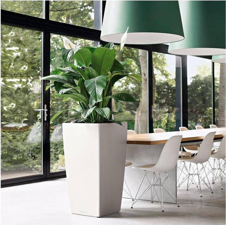 Produktbild Lechuza Cubico 30 (29.50 cm)
