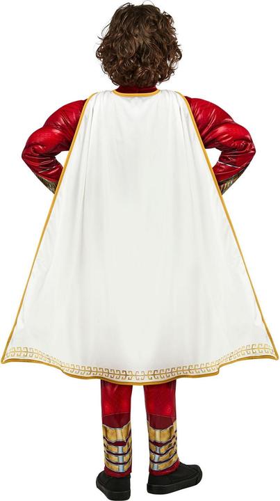 Actual product image DC Boys Polyester Costume (XS)