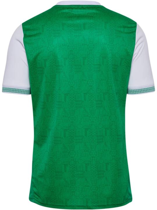 Actual product image hummel Home Jersey ASSE 2025/26 (S)