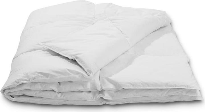 Image du produit Interio Basic Light (560 g, 160 x 210 cm, Duvet)