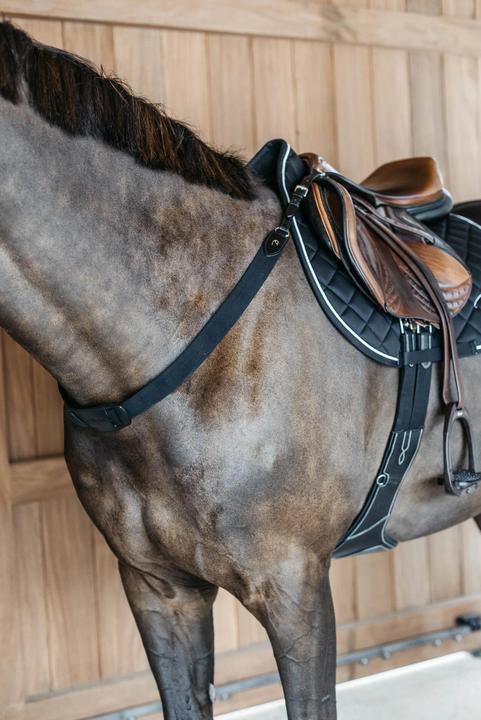 Actual product image Dy'on Elastic breastplate