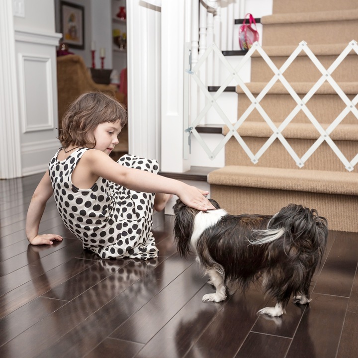Immagine prodotto Relaxdays Barriera per cani (3 cm)