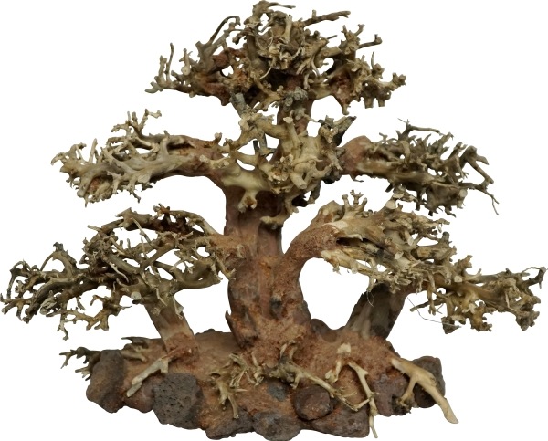 4fish Traerødder, Tree Island, 20x10x15 cm (Dekoration, sonstige Gegenstände)