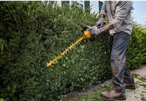 Actual product image DeWalt 54 Volt Akku-Heckenschere 65cm (Cordless hedgecutters)