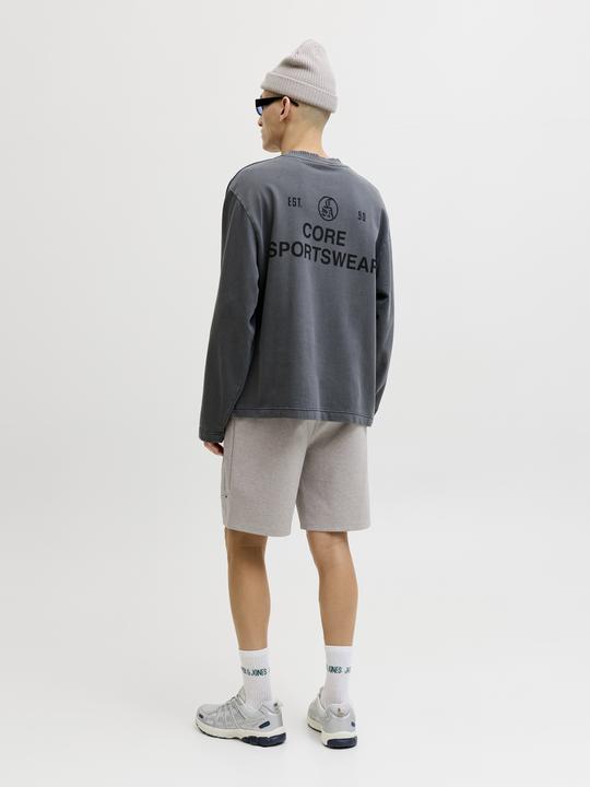 Image du produit Jack & Jones Jpstgordon Base Sweat Shorts Srt Sn (M)
