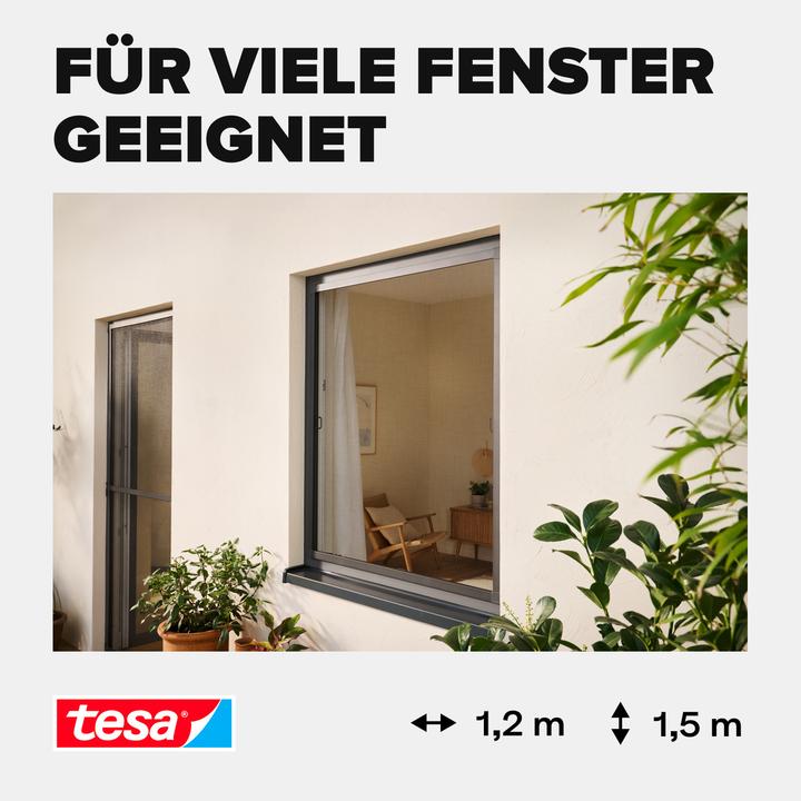Actual product image tesa Insect screen Alu COMFORT for windows, with aluminium frame, without drilling (120 x 150 cm)