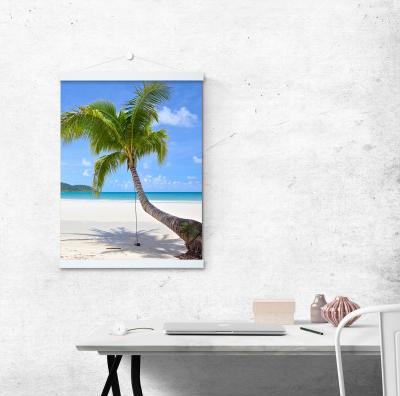 Immagine prodotto Debex Strisce di poster con magneti (Vari)