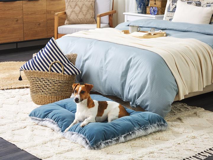 Actual product image Beliani Pet Bed Velvet Fabric Blue 90 x 60 cm ERGANI (Cat, Dog)