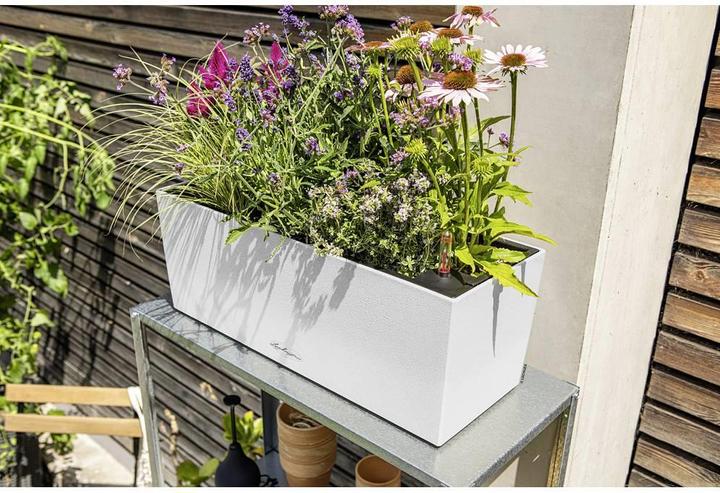 Actual product image Lechuza Flowerpot Balconera Cottage 50 (50 x 19 x 19 cm)