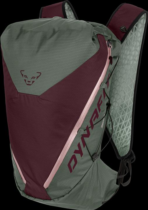 Dynafit Traverse 22 Rucksack (22 l)