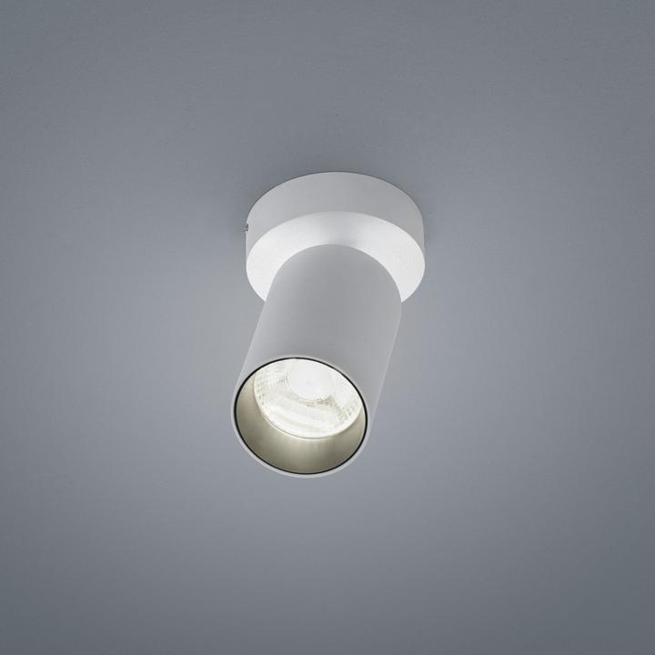 Image du produit Helestra Plafonnier Riwa (480 lm)