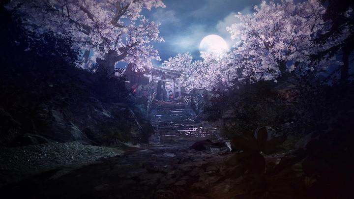 Image du produit Sony Nioh 2 (PS4, EN, IT)