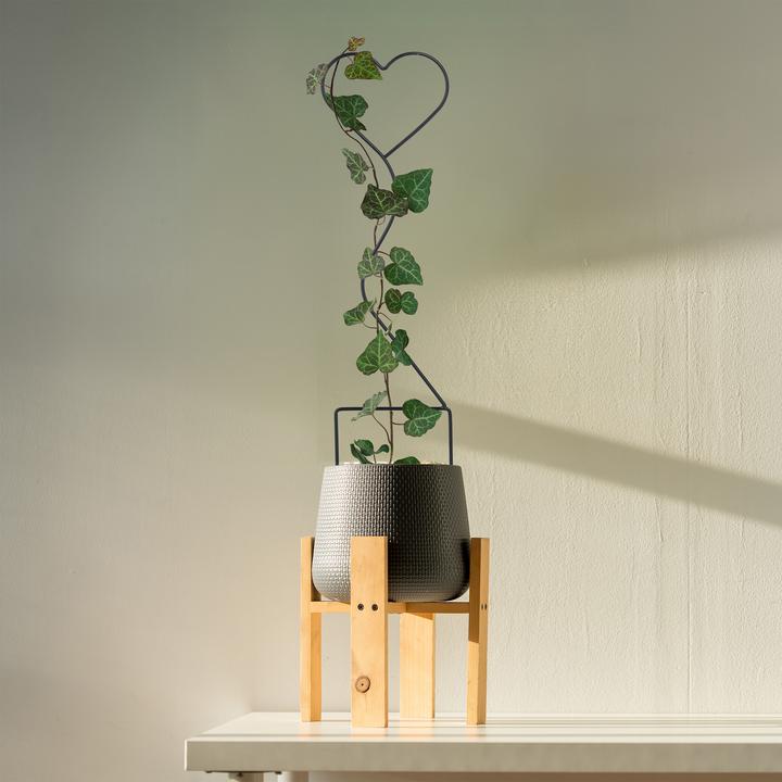 Actual product image Relaxdays 4x climbing support (0.50 cm, 14 cm)