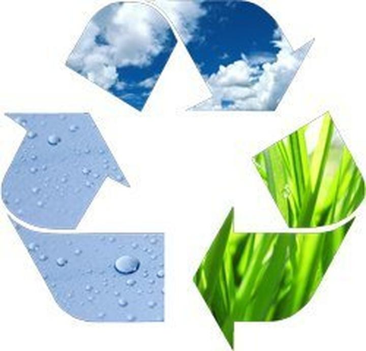 Actual product image Amazonas paradiso (200 kg)