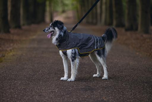 Immagine prodotto Beeztees Seja (52, Cappotto impermeabile per cani)