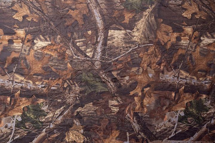 Immagine prodotto Amazonas Zanzara della Foresta (200 kg)