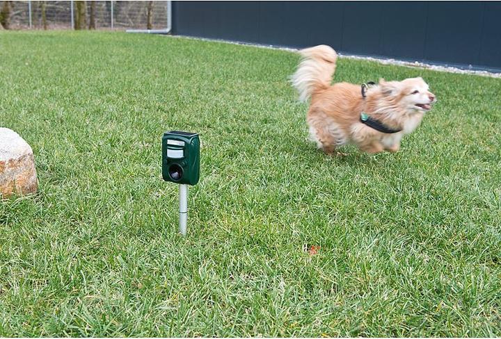 Produktbild Exbuster 