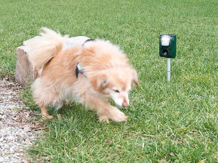 Produktbild Exbuster 