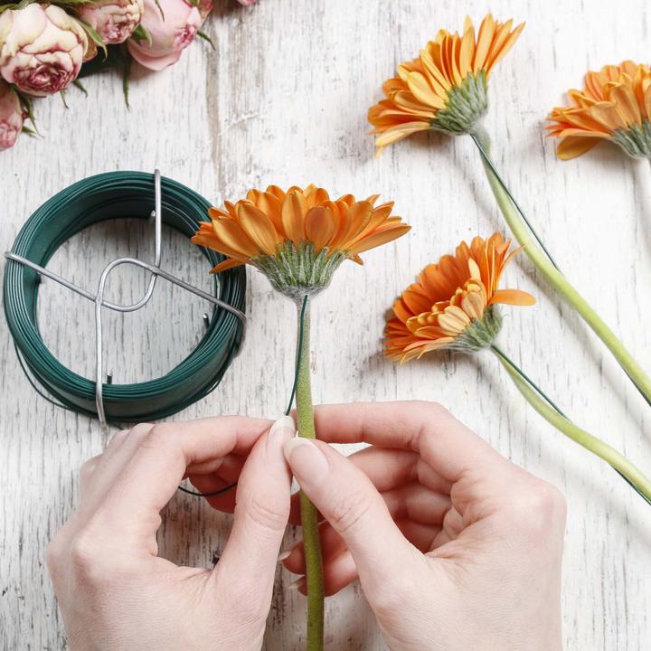 Produktbild Wiltec Gartendraht grün Ø1,6mm Bindedraht 50m Stahl verzinkt PVC Pflanzendraht (50 m)