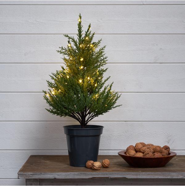 Actual product image Star Trading Candlestick Anno