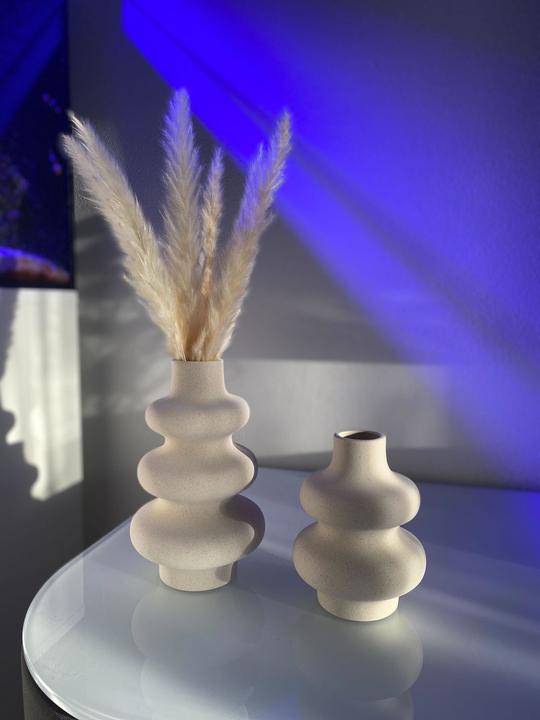 Actual product image Intirilife Pampas grass 30 pieces (5 cm)