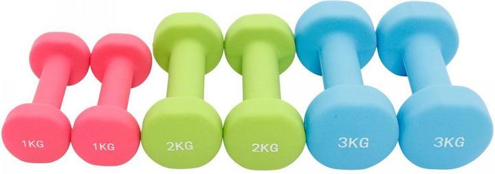 Actual product image Gorilla Sports Dumbbell case (2 x 1 kg, 2 x 2 kg, 2 x 3 kg)