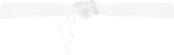 Partydeco Accessori per feste Decorazione auto Organza 1,8 m, 2 pezzi, bianco (2 pz.)