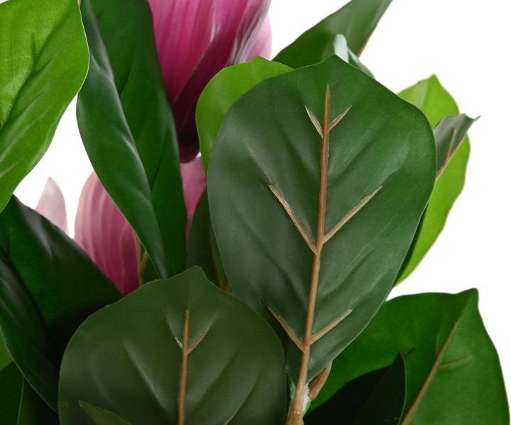 Image du produit DKD Home Decor Decorative Plant Pink Green PE (60 x 60 x 125 cm) (125 cm)