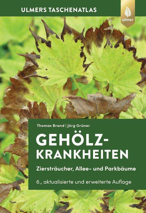 Produktbild Gehölzkrankheiten (Deutsch, Jörg Grüner, Thomas Brand, 2024)