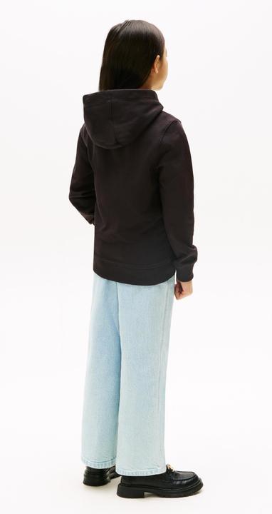 Produktbild Tommy Hilfiger Essential Hoodie (80)