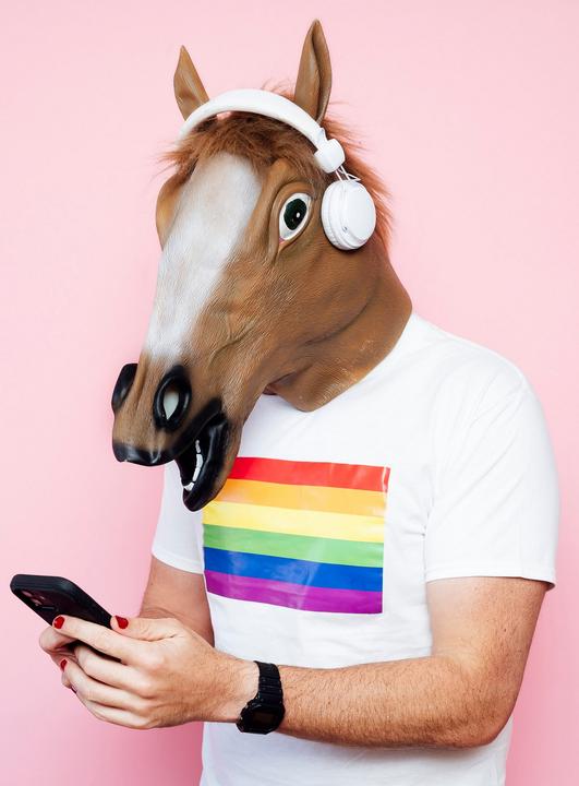 Produktbild Metamorph Pferdemaske braun