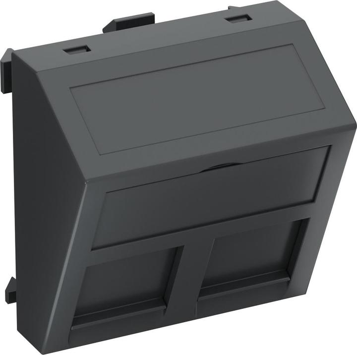 OBO Bettermann Datentechnikträger für 2 Anschlussmodule 6119252