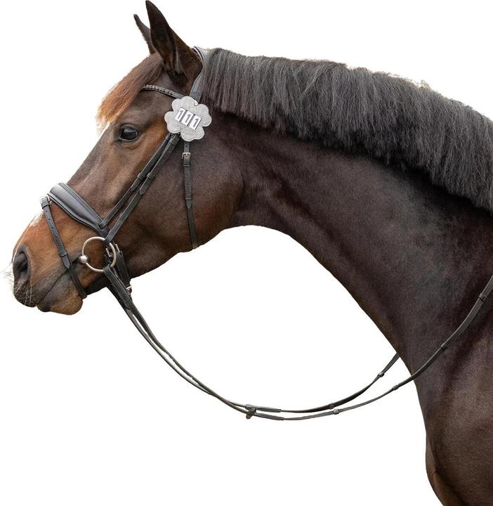 Actual product image Qhp Clover