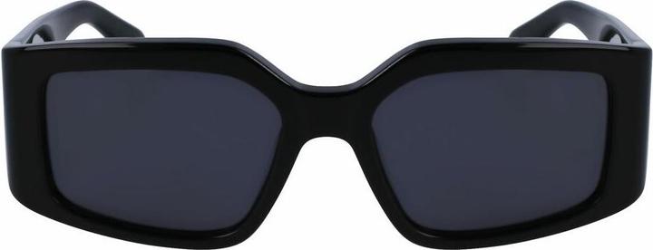 Image du produit Salvatore Ferragamo Ladies' Sunglasses SF1101S-5418001 Ã¸ 54 mm