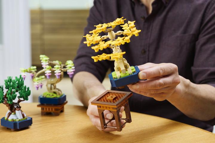 Produktbild LEGO Mini-Bonsais Set (10373, LEGO Botanicals)