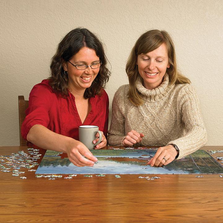 Actual product image Cobble Hill Moose in the lake 1000 parts (1000 pieces)
