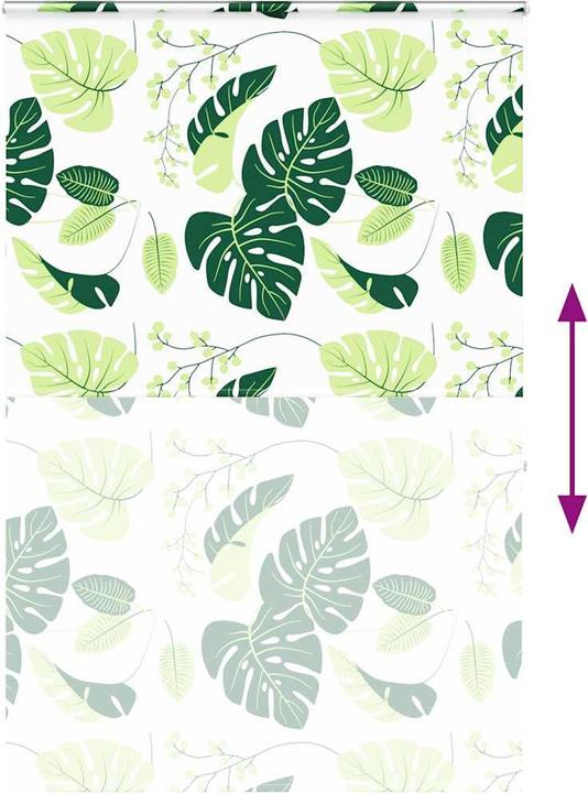 Produktbild vidaXL Duschrollo (150 x 240 cm)
