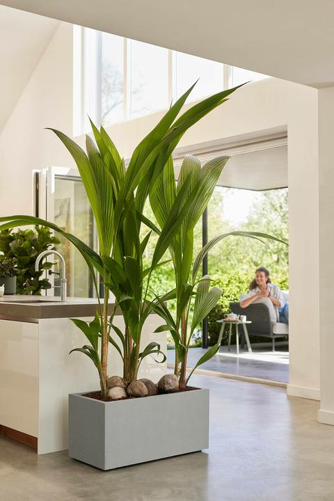 Produktbild Elho Vivo Next Lang (800 cm)